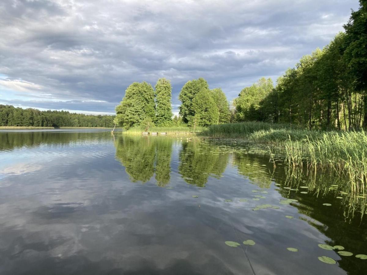 Cisy Ii-idealny Dla Gosci Ze Zwierzetami,ogrodzony Teren Na Wylacznosc,150 M Od Jeziora Elk